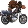 Avatar du membre